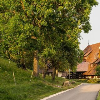 Hofgut Hohenkarpfen - Hausen ob Verena - 20