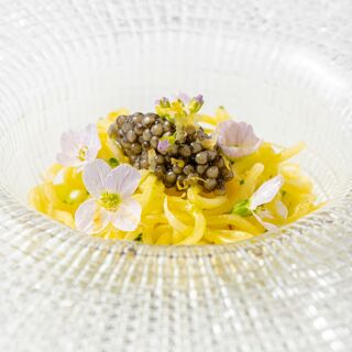 Archibald De Prince - 2