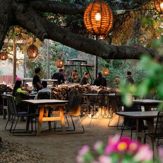 Primitivo - Valle de Guadalupe - 26