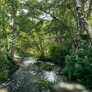 Moulin de la Tardoire - 1