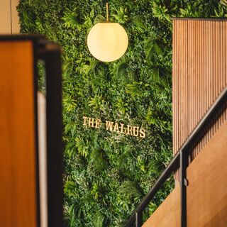 The Walrus - Shrewsbury - 2