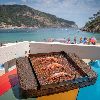 Toc al Mar - 3