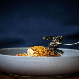 Serre Restaurant - Amsterdam - 7