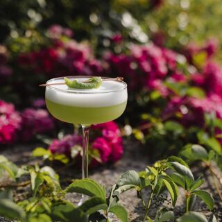 Meneghetti - Bale - 12