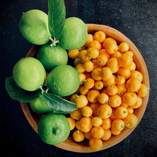 La Maison de Pierre - 2