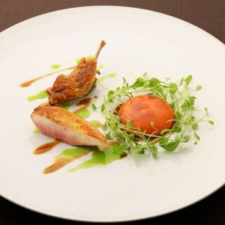 Saucer - Tokyo - 5