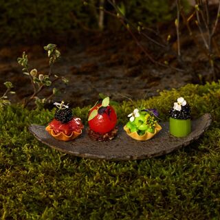 Moss - 4