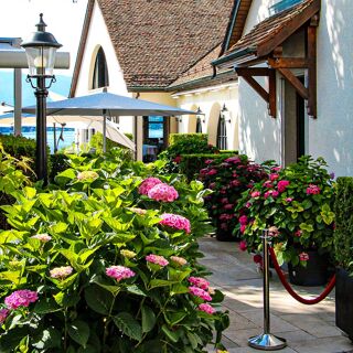 Le bistrot du Lion d’Or - 1