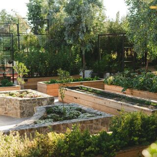 Olivea Farm to Table - 1