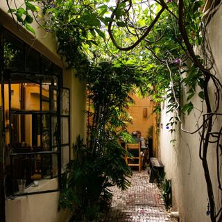 Adamá - Oaxaca - 5