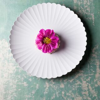 RAU nature-based cuisine - 5