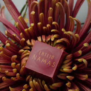Ertlio Namas - 1