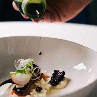 Esperança Verde - 12