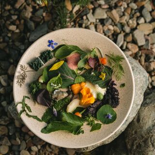 Olivea Farm to Table - Ensenada - 0