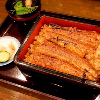 Unagino Toyokawa - Nara - 0