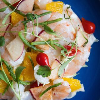 The Establishment - 12