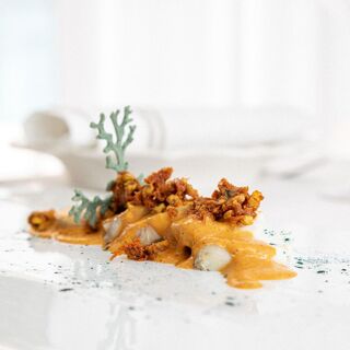 Frisone - 1