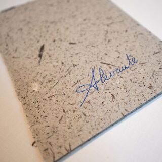 Alevante - 1