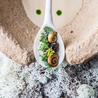 Aponiente - 5