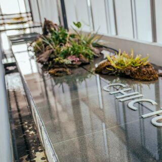 Chic 1699 - Xiamen - 1