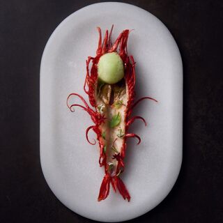 Slow & Low - Barcelona - 1