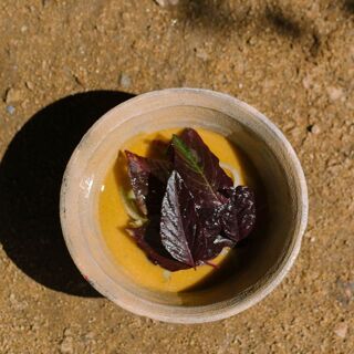 Alfonsina - Oaxaca - 4