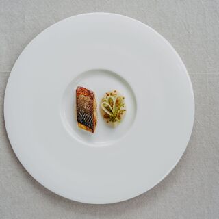 Moritz - 4
