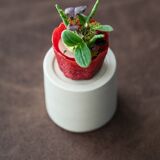 Afbeelding van de locatie