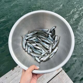 Krachang Khao Lak - 3