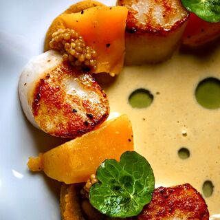 Le Cercle de Montaigne - Bordeaux - 0