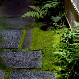 Hirosawa - 1