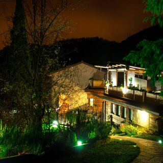 Spinechile - 1