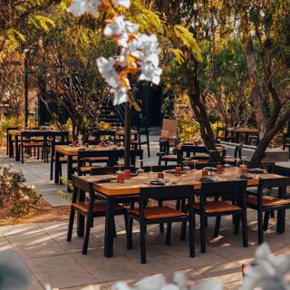 LÍMO Heritage Kitchen at Suelo Sur - San José del Cabo - 6