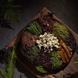 Plant-Based Kitchen - 3