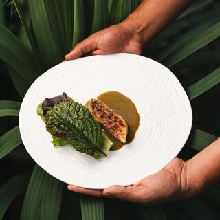Olivea Farm to Table - Ensenada - 6