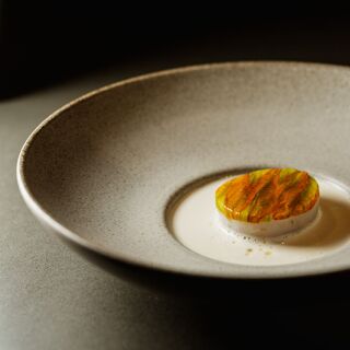 Krug - Split - 8