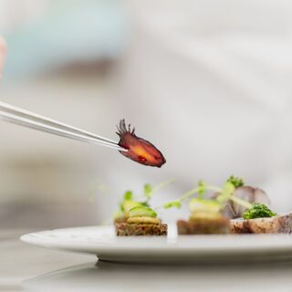 Les Jardins Sauvages - La Grée des Landes - 1