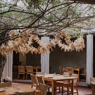 Criollo - Oaxaca - 2