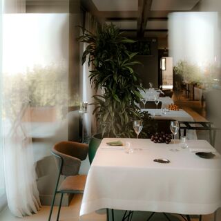 Coltivare - 8