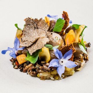 Palatial - Braga - 12