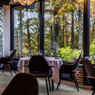 Treetop - Vejle - 16