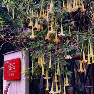 Fuyuan - Fuzhou - 8