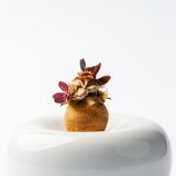 Image du lieu