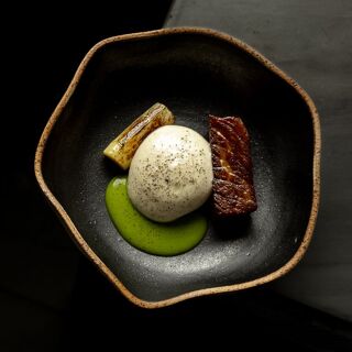 SENSE - 29