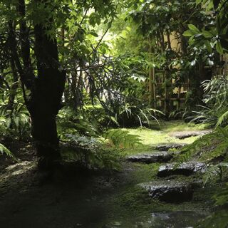Ten-you - Kyoto - 1